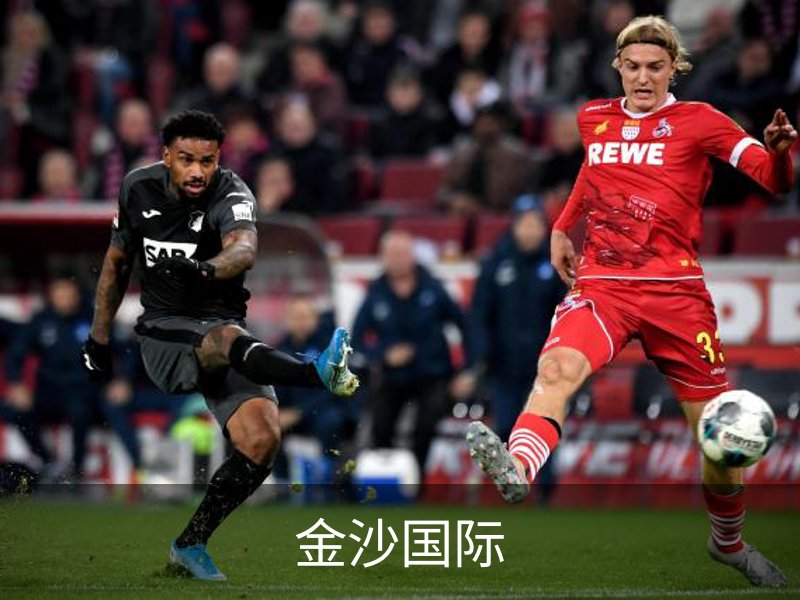 金沙国际介绍